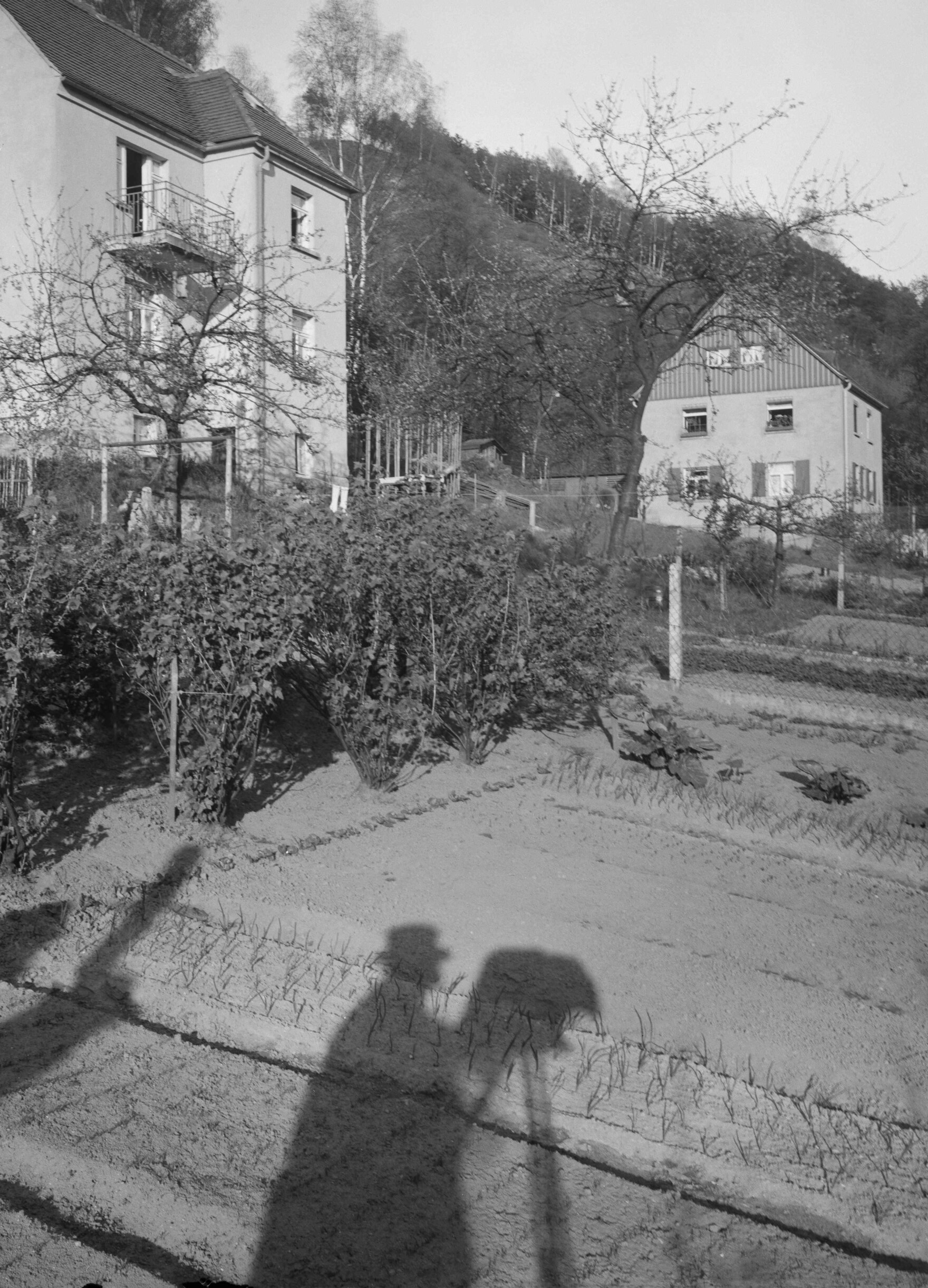 Selbstportrait im Schattenriss, Aufnahme 1930er Jahre von Paul Wolff